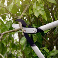 Сучкорез Fiskars PowerGeaX LX92 1020186