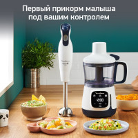 Блендер Moulinex Yummy Gourmet DD55W110