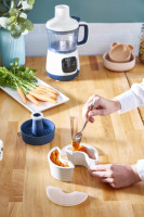 Блендер Moulinex Yummy Gourmet DD55W110