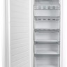 Морозильник Delonghi PAOLO DFI 17NFE