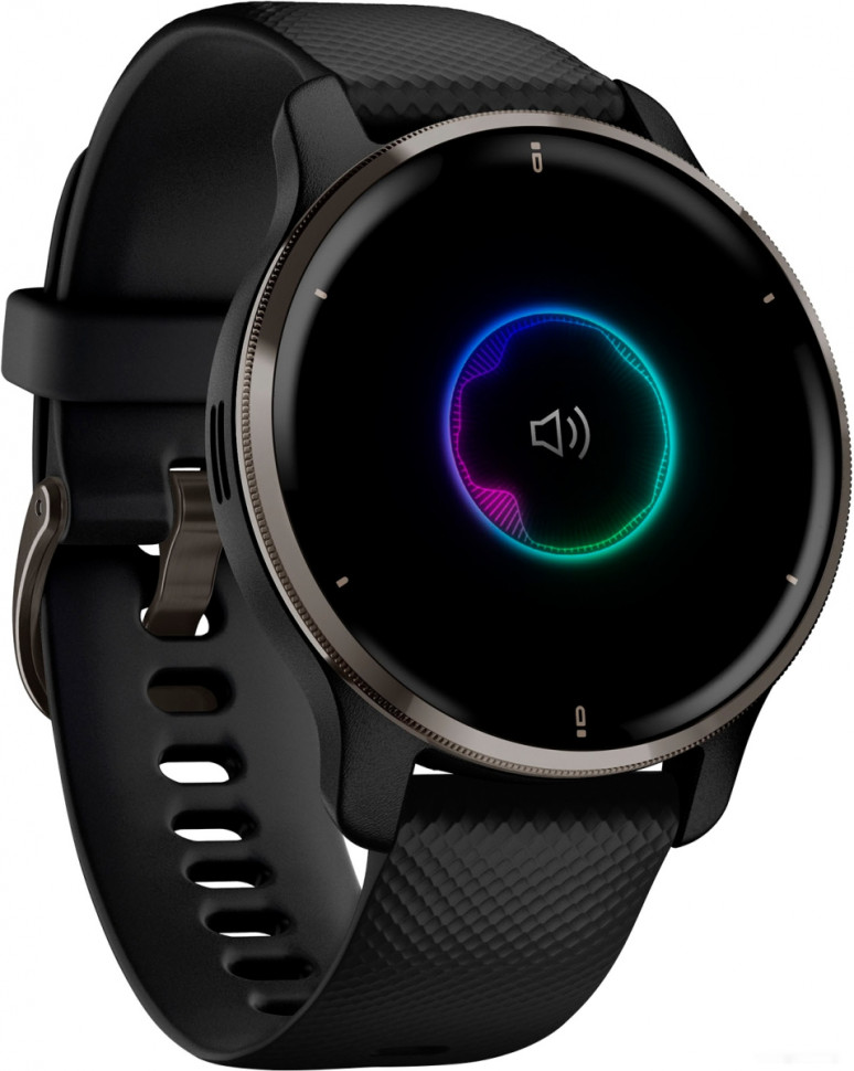 Умные часы Garmin Venu 2 Plus (черный)