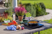 Настольная плита Gorenje ICY2000SP