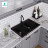 Кухонная мойка Polygran Brig 790 (черный)