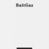 Отопительный котёл BaltGaz E 32 (31705)