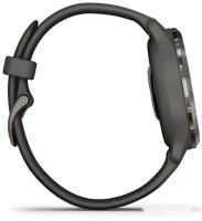 Умные часы Garmin Venu 2S (сланцевая нержавеющая сталь/черный)