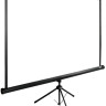 Проекционный экран Cactus TriExpert 150x200 CS-PSTE-200X150-BK