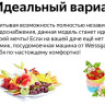Посудомоечная машина Weissgauff TDW 4037 D