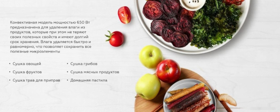 Сушилка для овощей и фруктов BQ FD9000